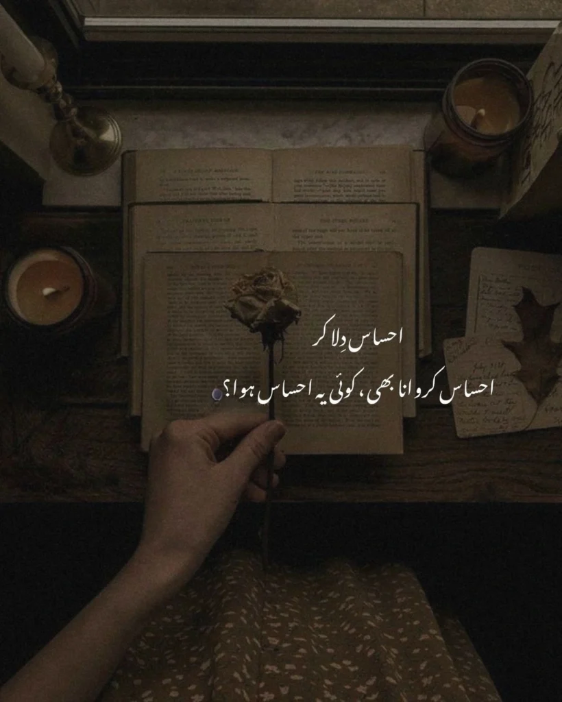 Loneliness and Its Echo in Urdu Poetry