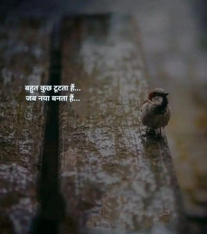 When Love Turns into Lies