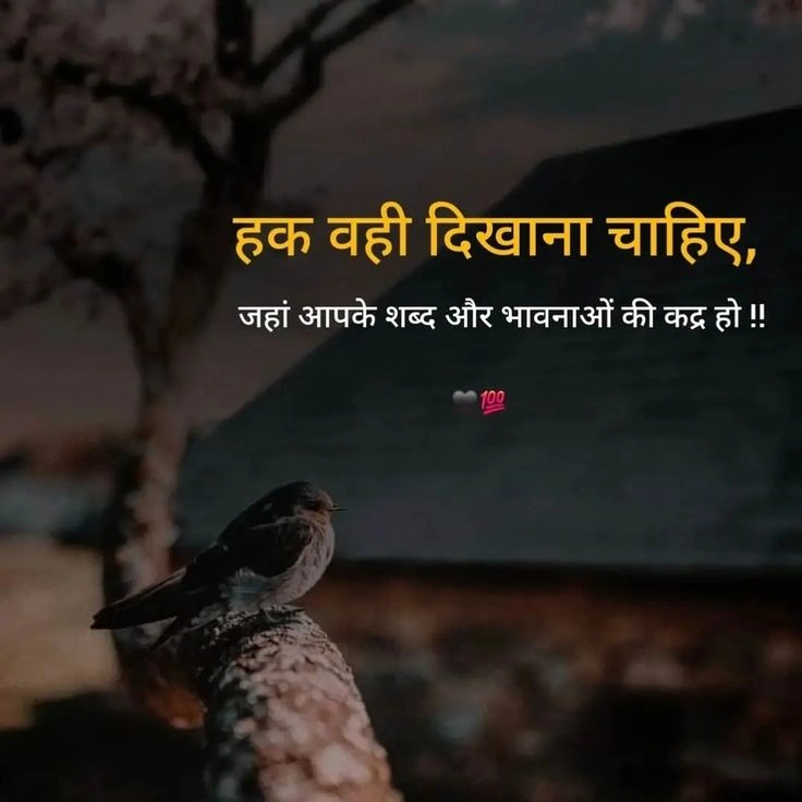 0px
Trusting Again After Betrayal