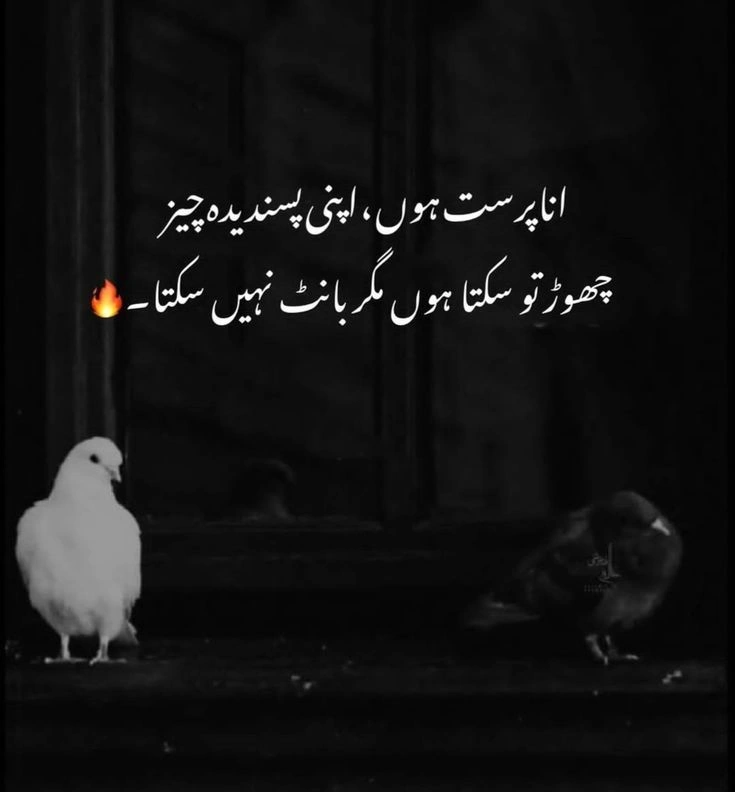 Shayari on Heartbreak and Isolation