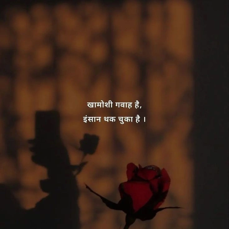 Why Two‑Line Shayari Resonates