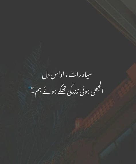 Lonely Night Shayari