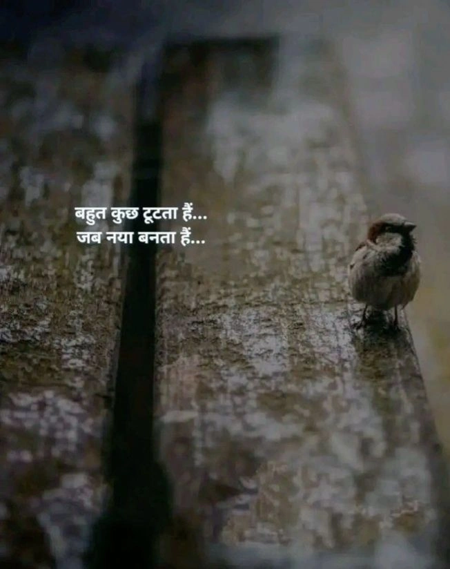 Sad 2-Line Shayari for WhatsApp