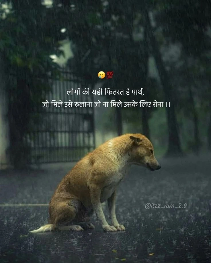 Shayari About Loneliness