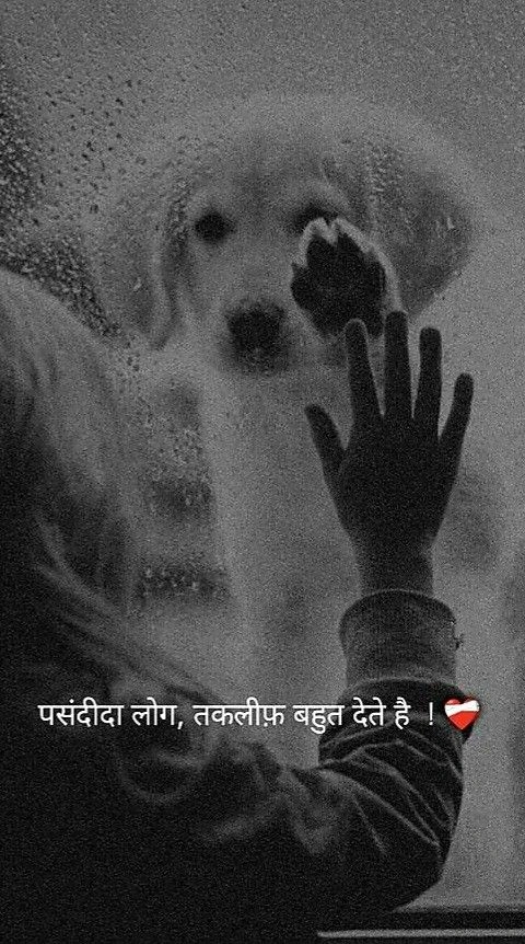 Broken Trust Shayari for Girls